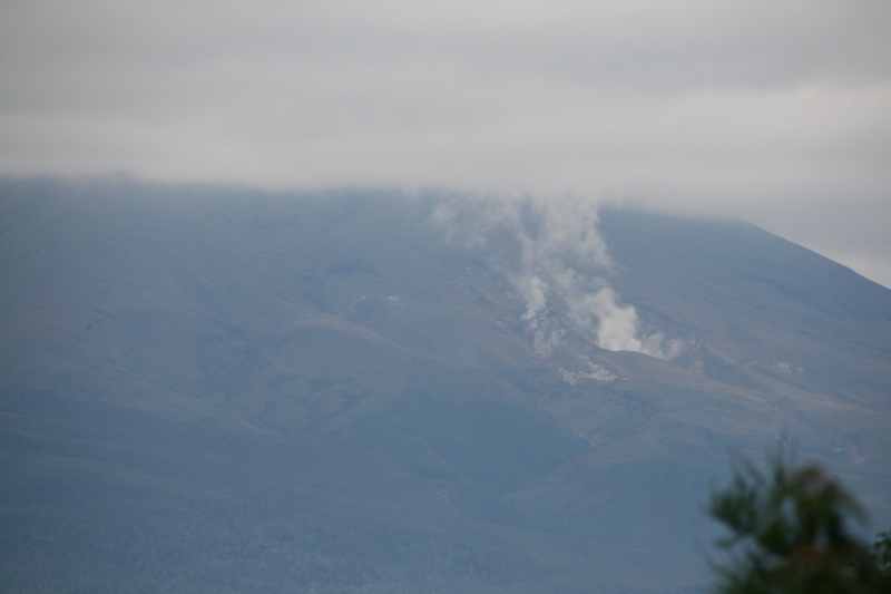 Nieuw-Zeeland 2011 - 0817